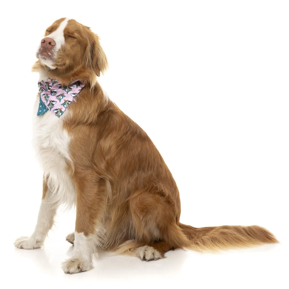 15% OFF: FuzzYard Pet Bandana (LL Cool Jaw$)