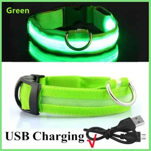 Adjustable Flashing Glowing Dog Collar