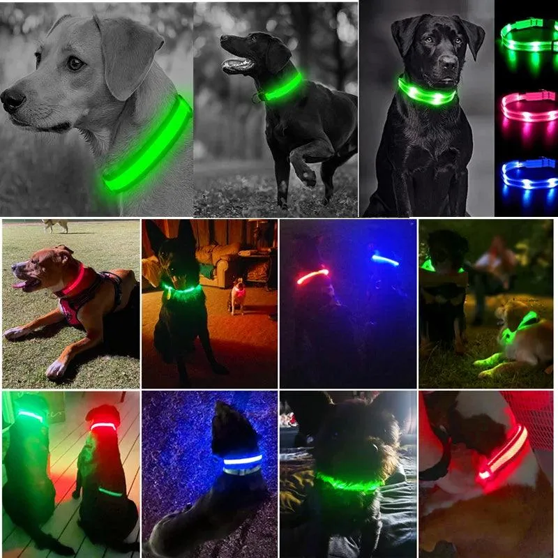 Adjustable LED Glowing Dog Collar