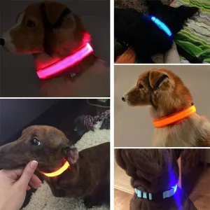 Anniepaw LED Rechargeable Adjustable Night Light Waterproof  Glowing Dog Collars