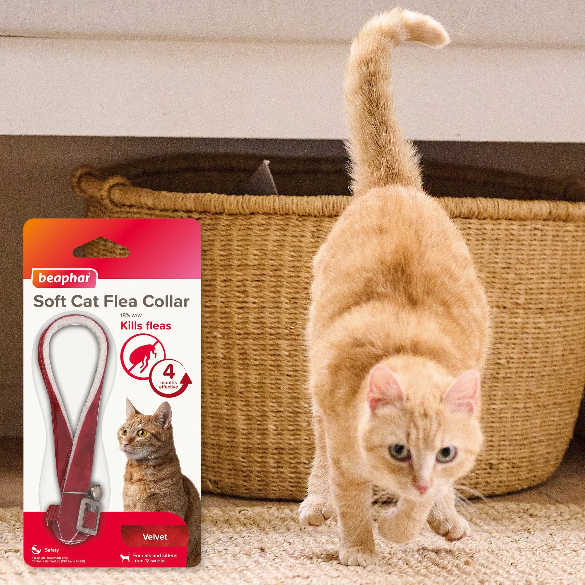 Beaphar Cat Collar Kills & Prevents Fleas Velvet