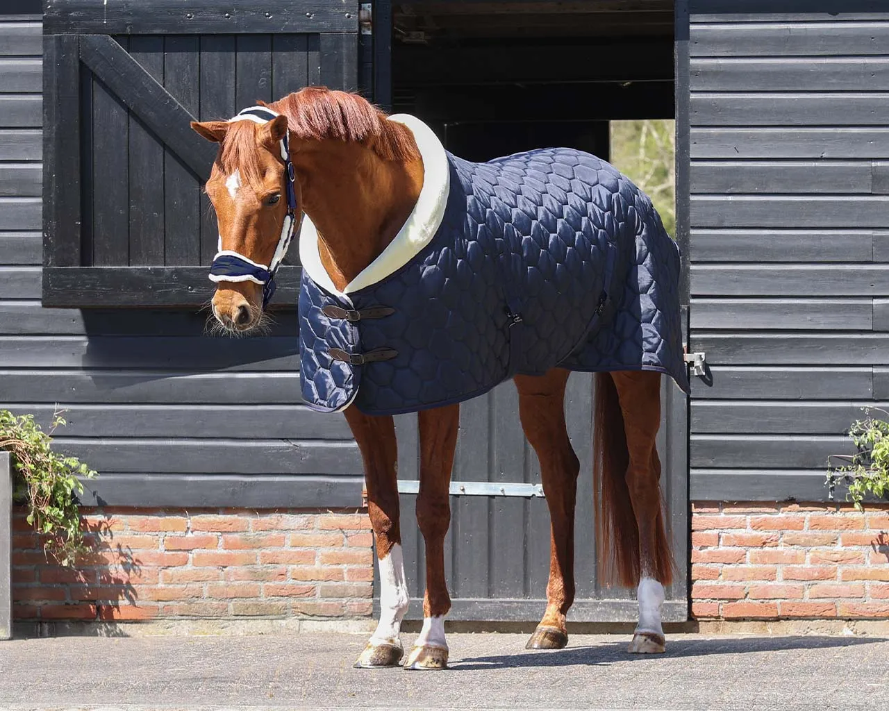 Classy 100g Stable Rug