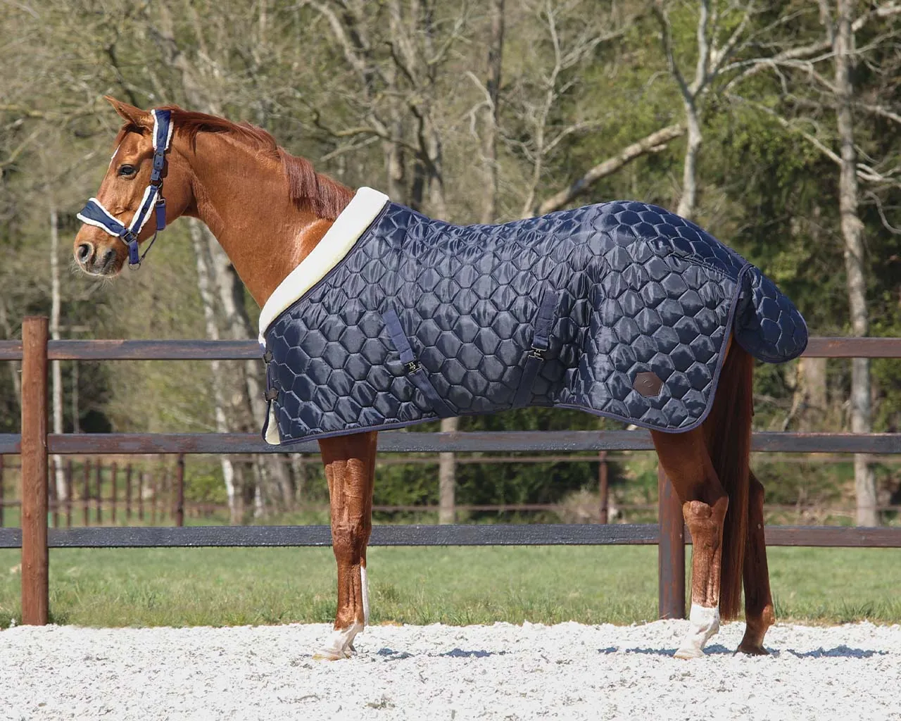 Classy 100g Stable Rug