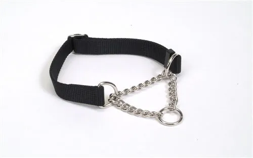 Coastal Check Training Collar for Dogs - Adjustable Black