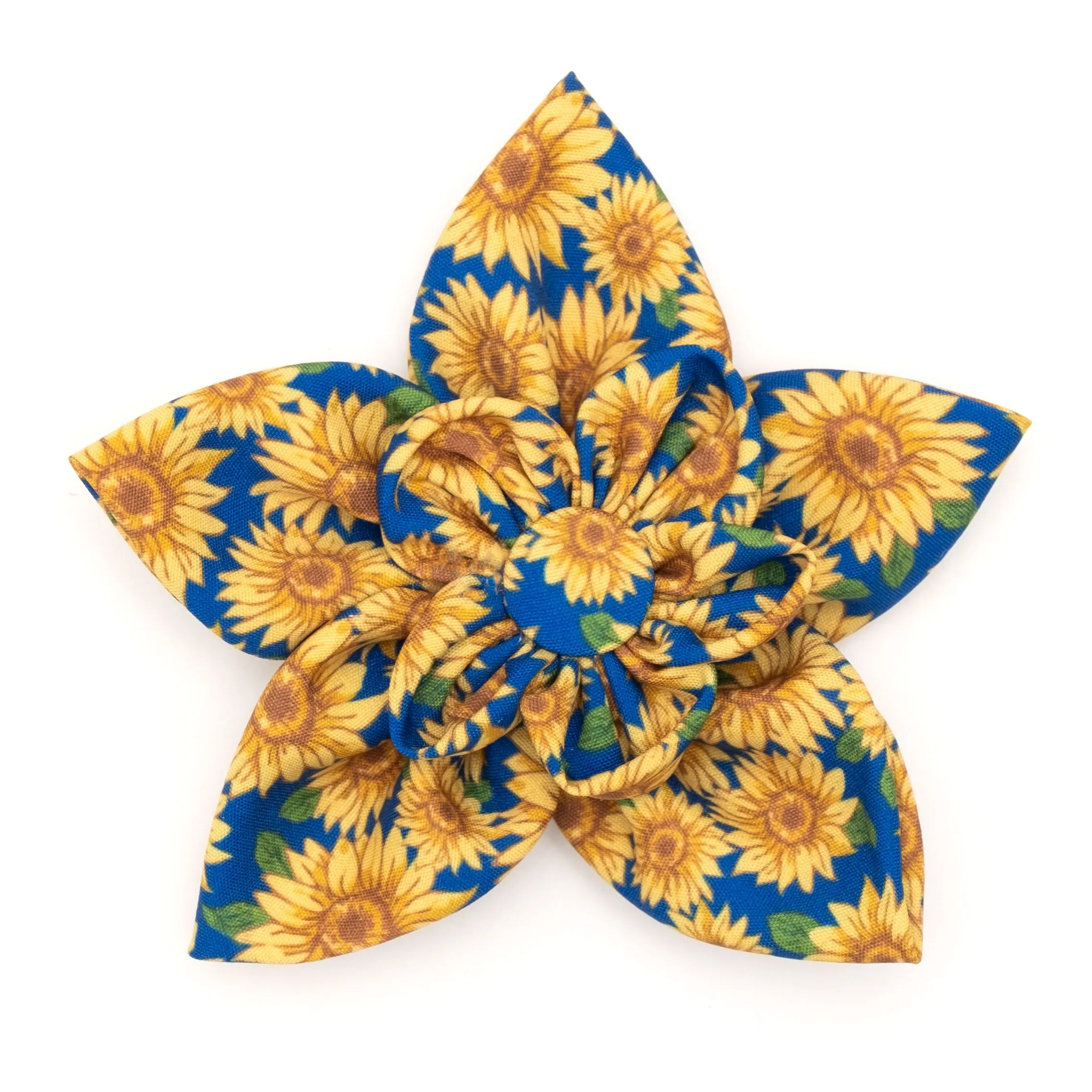 Collar Flower | Sunflowers