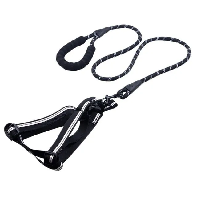 Comfortable Dog Leash with Padded Handle