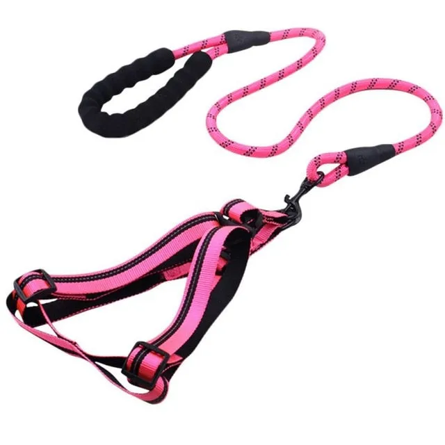 Comfortable Dog Leash with Padded Handle