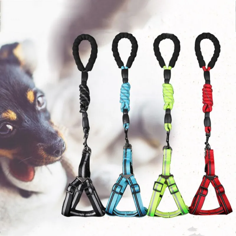 Comfortable Dog Leash with Padded Handle