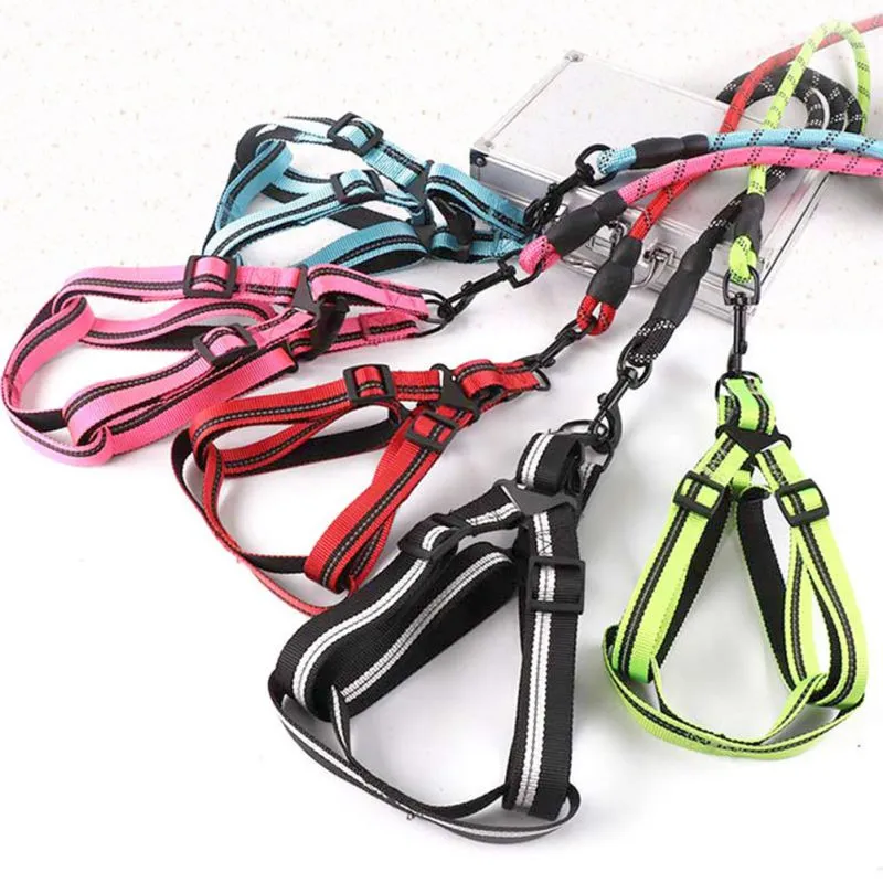 Comfortable Dog Leash with Padded Handle