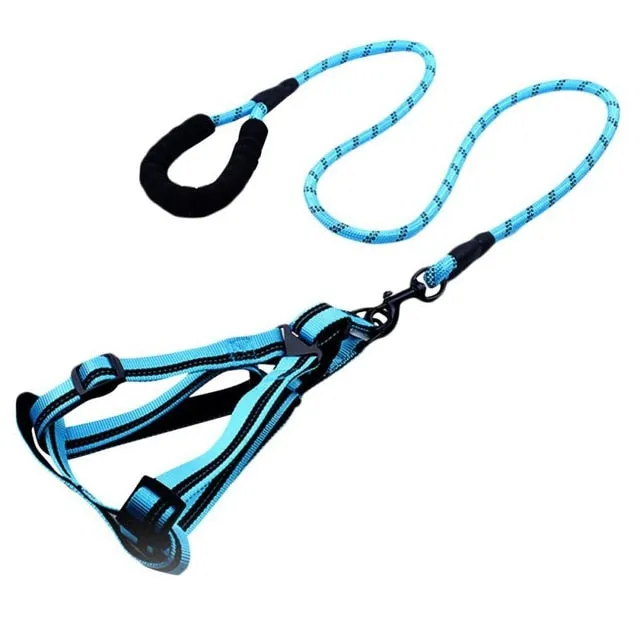 Comfortable Dog Leash with Padded Handle