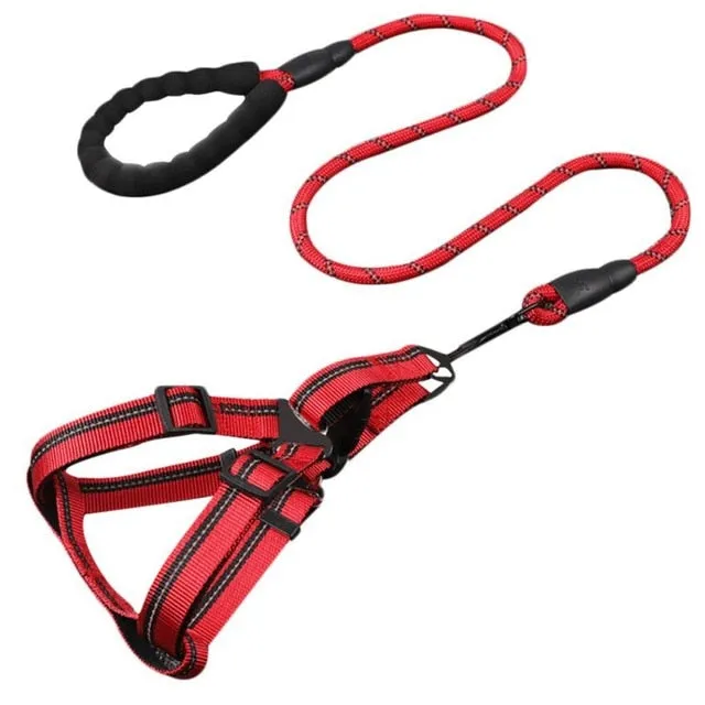 Comfortable Dog Leash with Padded Handle