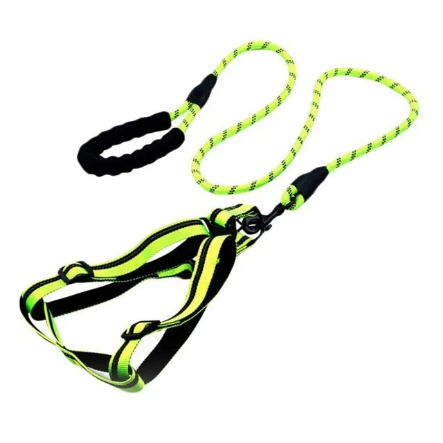 Comfortable Dog Leash with Padded Handle