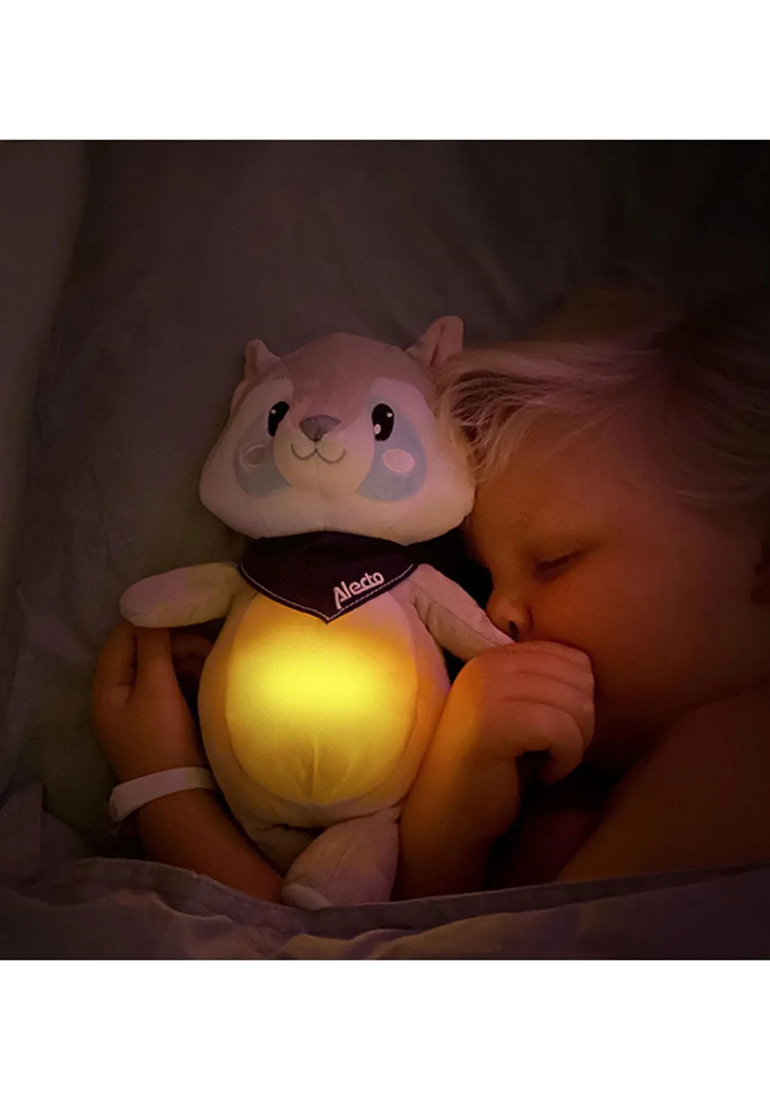 Cuddly Raccoon & Night Light | Bc351