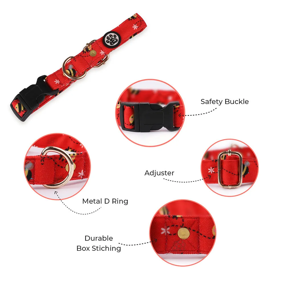 Dear Pet BusyBee Dog Collar & Leash Set