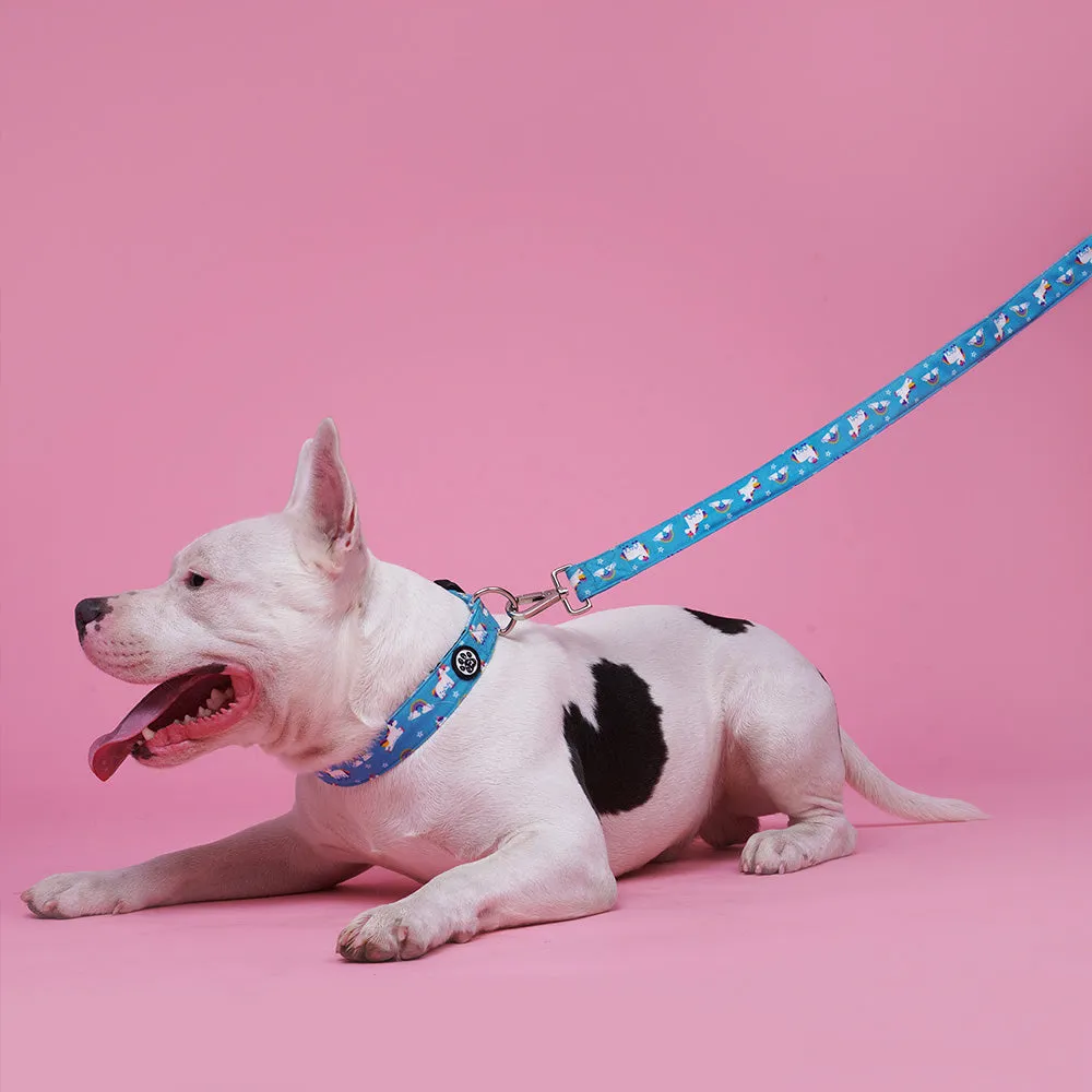 Dear Pet Majestic Unicorns Dog Collar & Leash Set