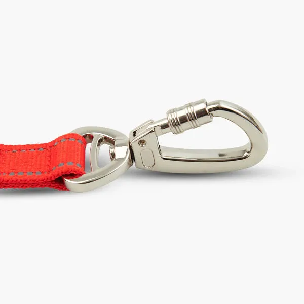 Dog Friendly Co. Classic Dog Lead Red