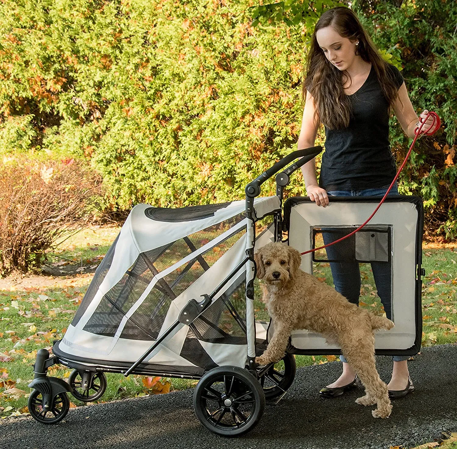 Doggie Stroller with Dual Entry Single or Multiple Dogs/Cats