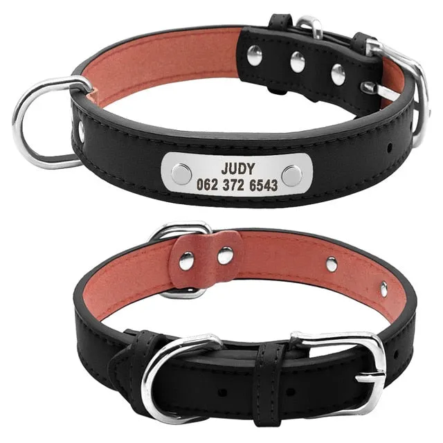 Durable Personalized Leather Padded Dog Collar - 4 Sizes