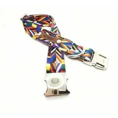 Finnigan Designer Dog Collar: Elevate Your Pet's Style!