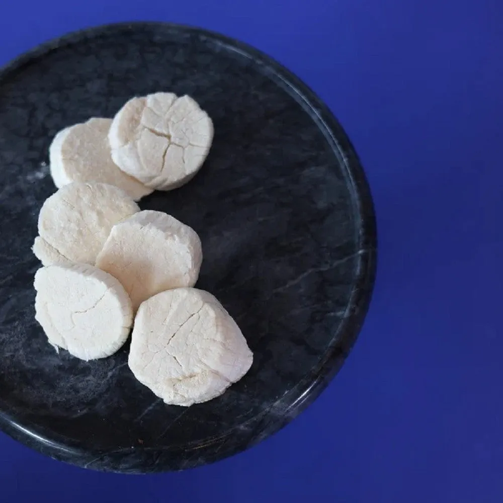 Freeze Dried Hokkaido Scallops Treats for Dogs and Cats