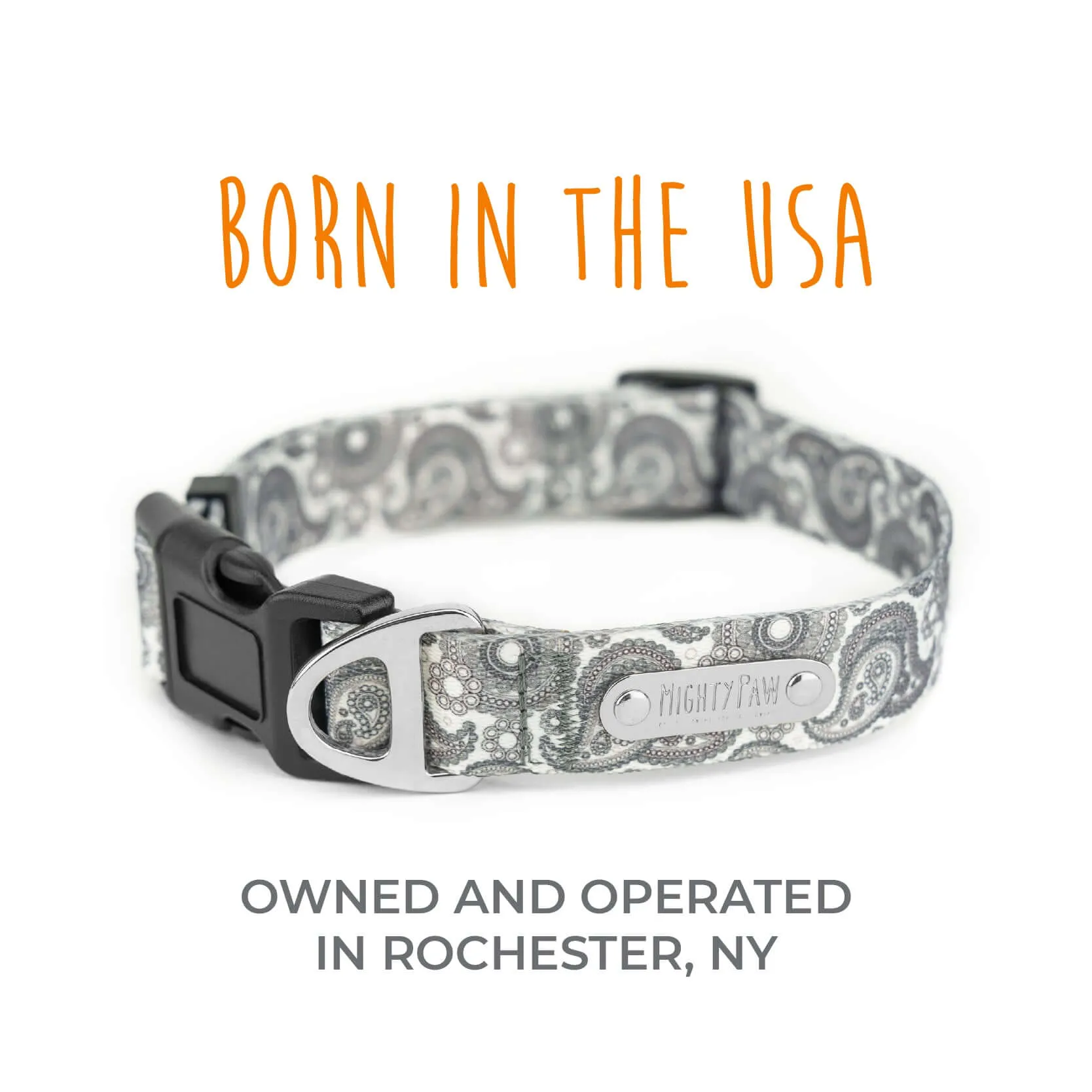 Grey Designer Paisley Dog Collar with Adjustable Tri-Glide Buckle