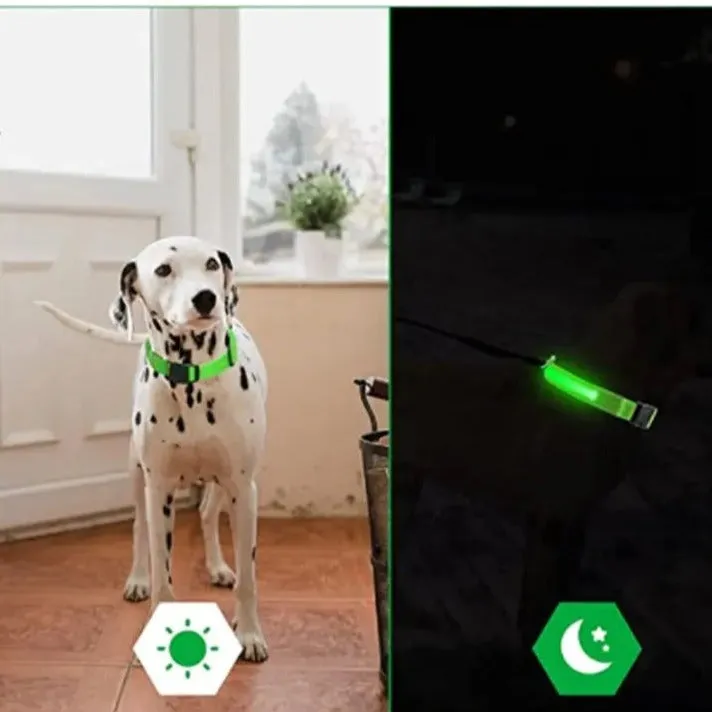 Illuminated LED Dog Collars Safety for Pets Rechargeable or Battery