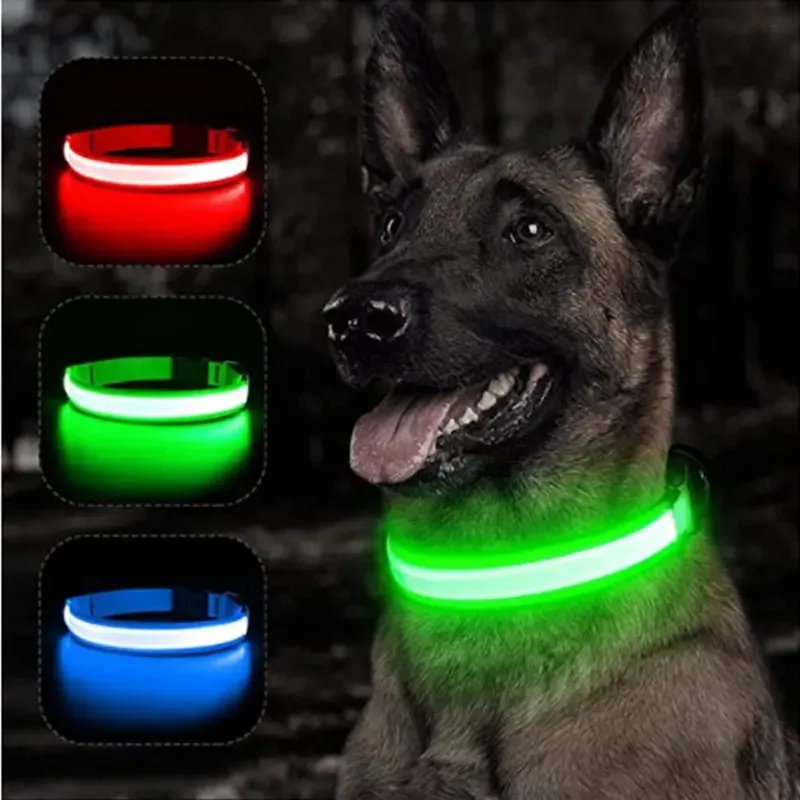 Illuminated LED Dog Collars Safety for Pets Rechargeable or Battery