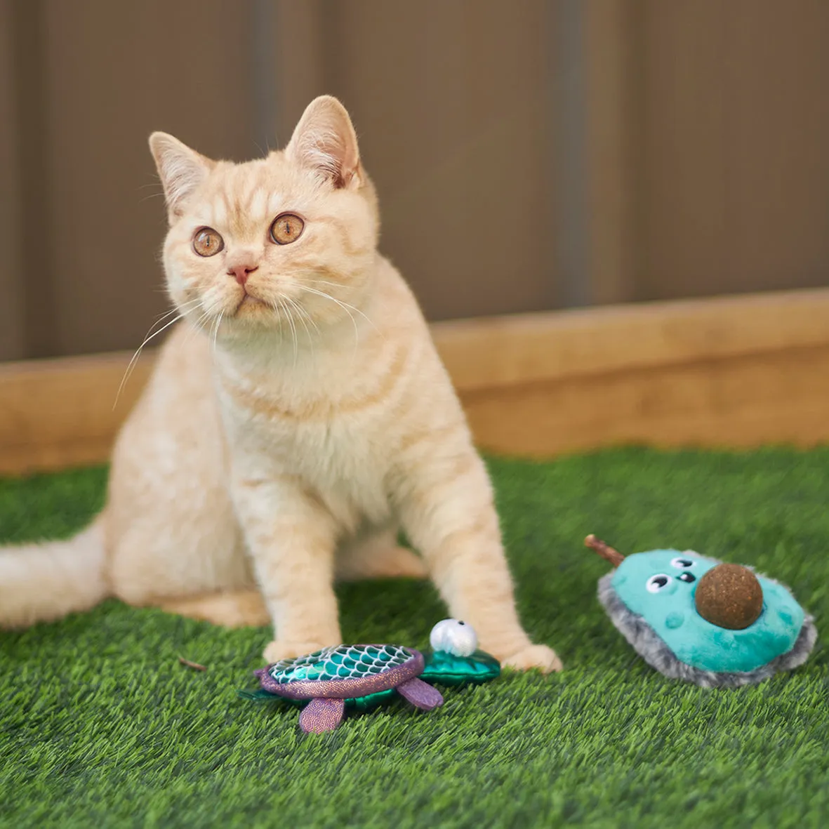 Kazoo Sea Turtle Cat Toy