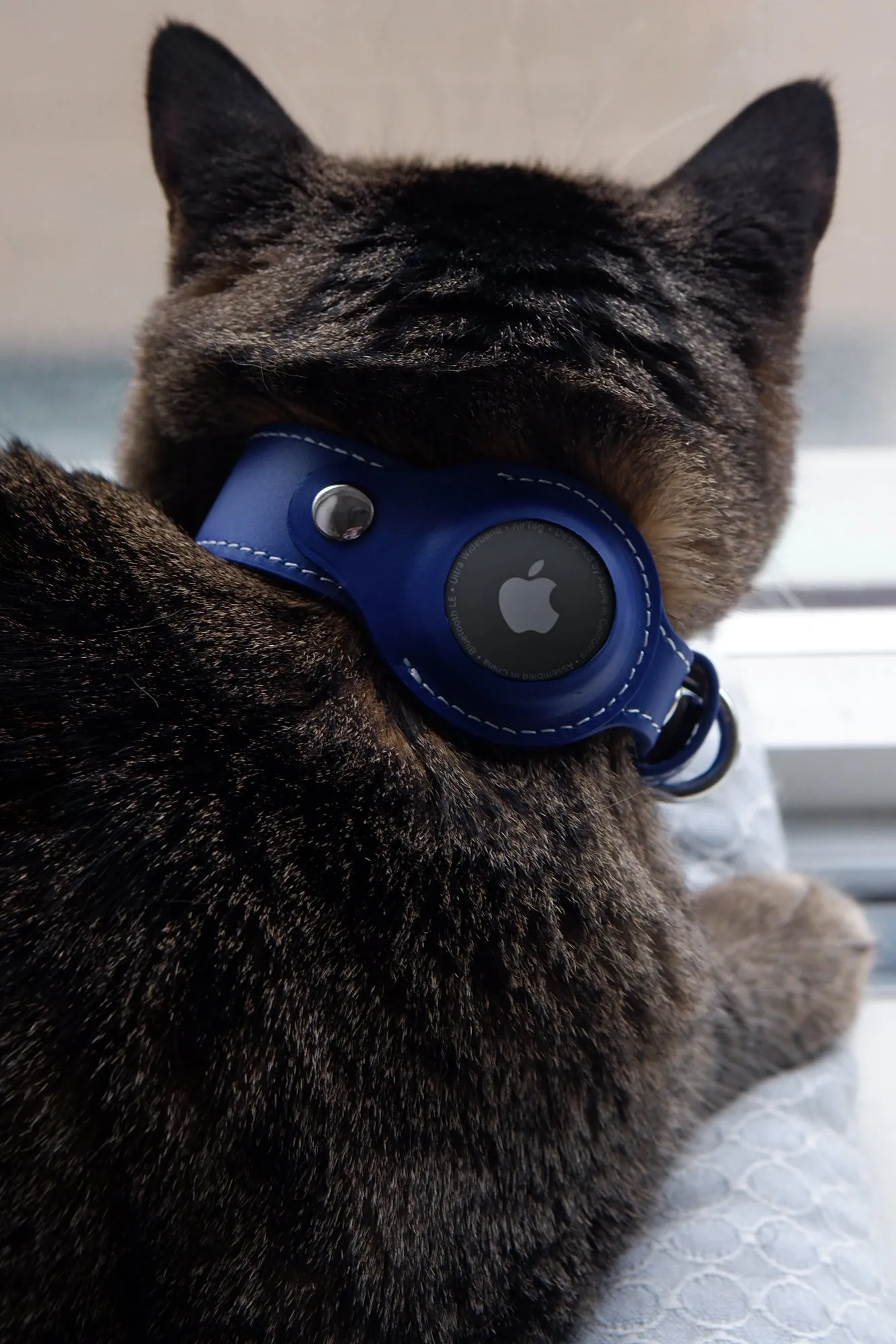 Leather AirTag Cat Collar by Nine Twenty Eight, Leather GPS Cat Collar with AirTag Holder