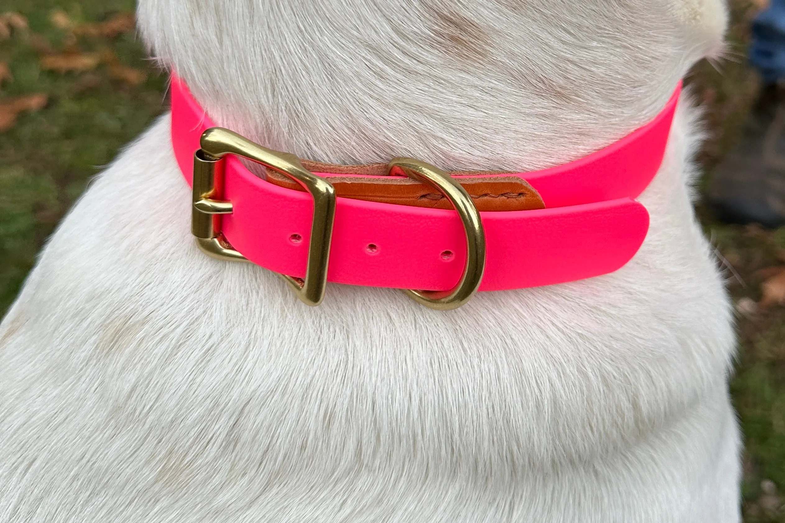 Leather and Biothane Dog Collar and Leash Set, Pink Biothane, London Tan Bridle Leather, Solid Brass Hardware, RIveted and Stitched