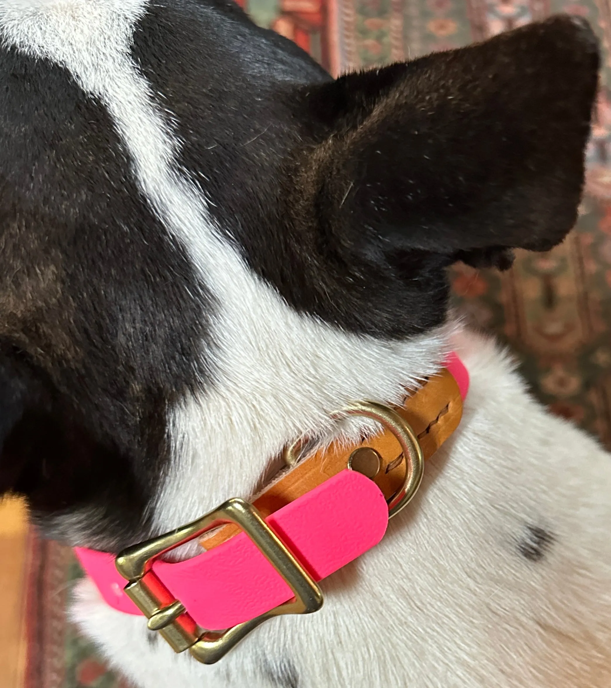 Leather and Biothane Dog Collar and Leash Set, Pink Biothane, London Tan Bridle Leather, Solid Brass Hardware, RIveted and Stitched