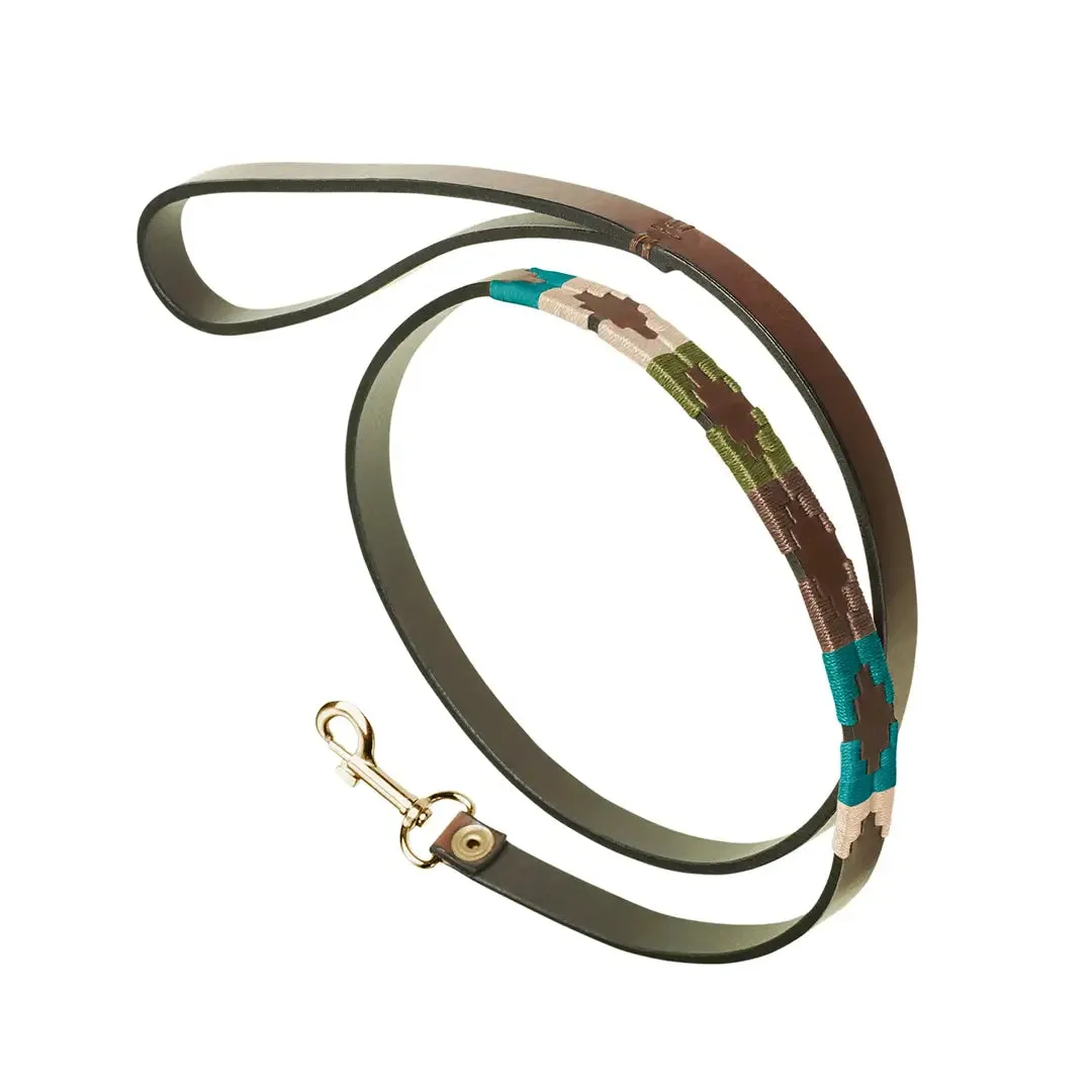 Leather Dog Collar & Lead - Terraqueo by Pampeano