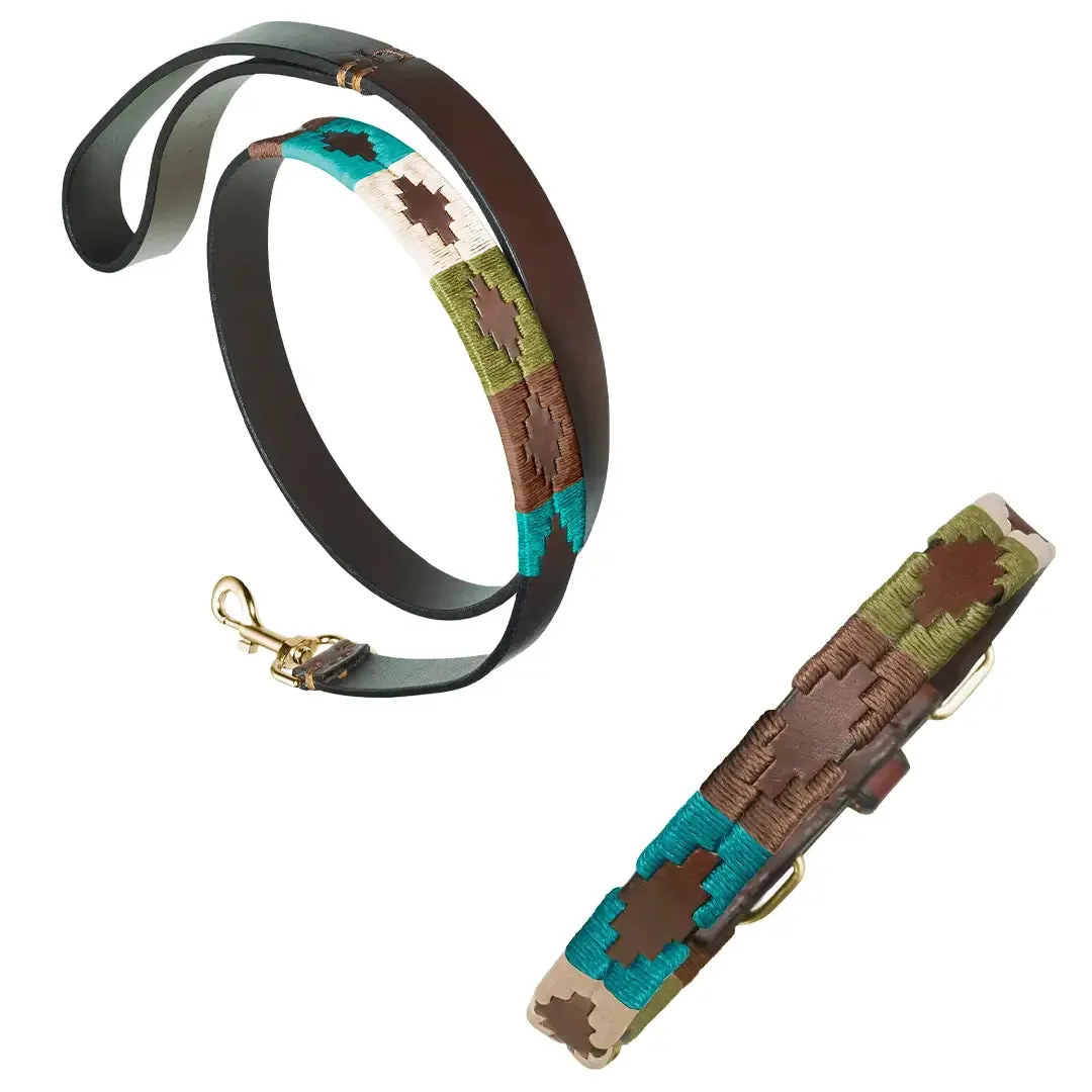 Leather Dog Collar & Lead - Terraqueo by Pampeano