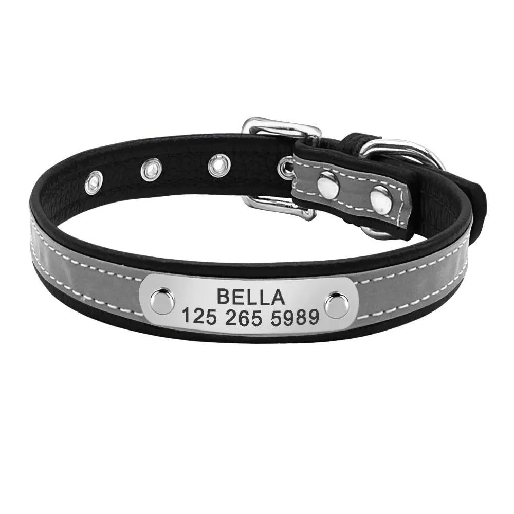 Leather Nameplate Cat Collar