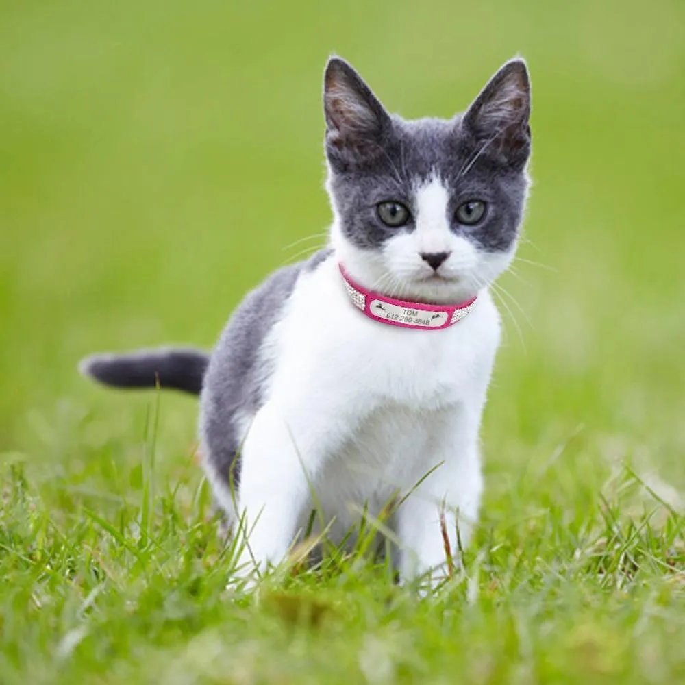 Leather Nameplate Cat Collar