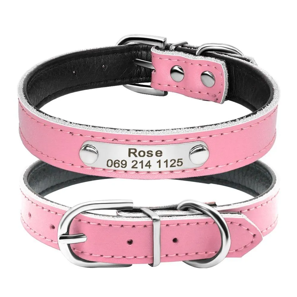 Leather Nameplate Cat Collar