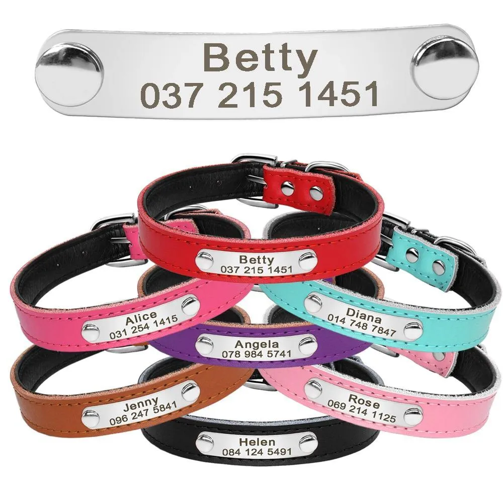 Leather Nameplate Cat Collar