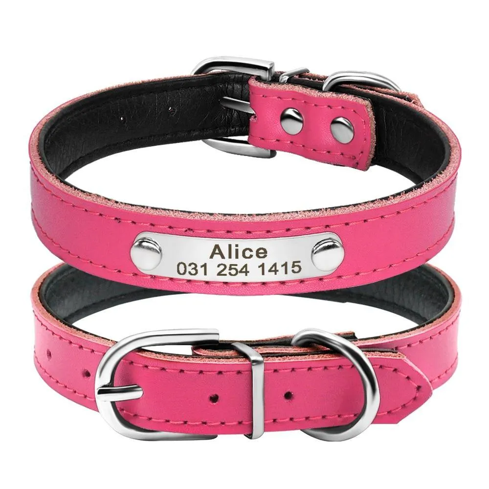 Leather Nameplate Cat Collar