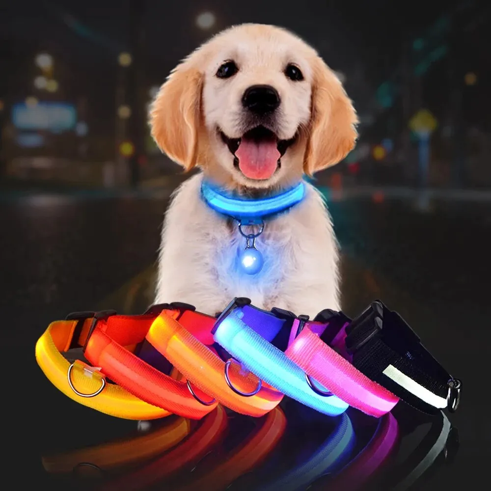 LED Glowing Night Safety Collar