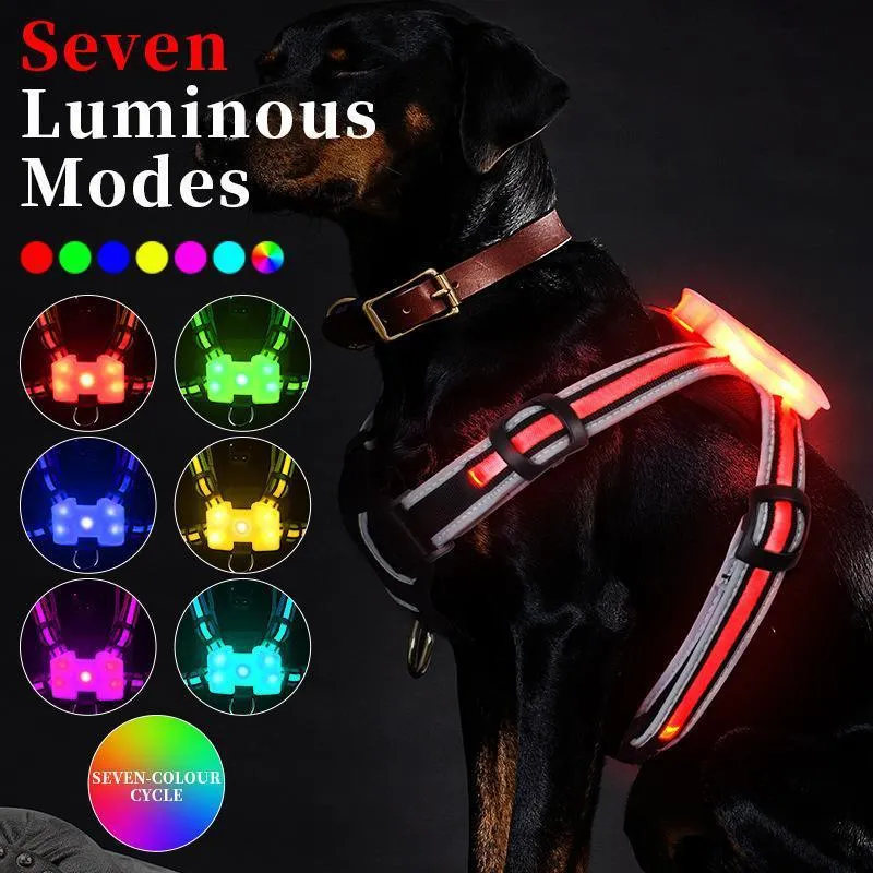 LED Luminous Dog Walking Vest