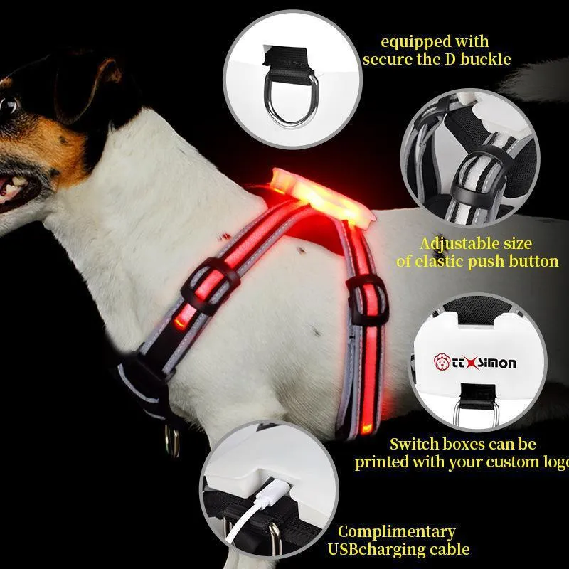 LED Luminous Dog Walking Vest