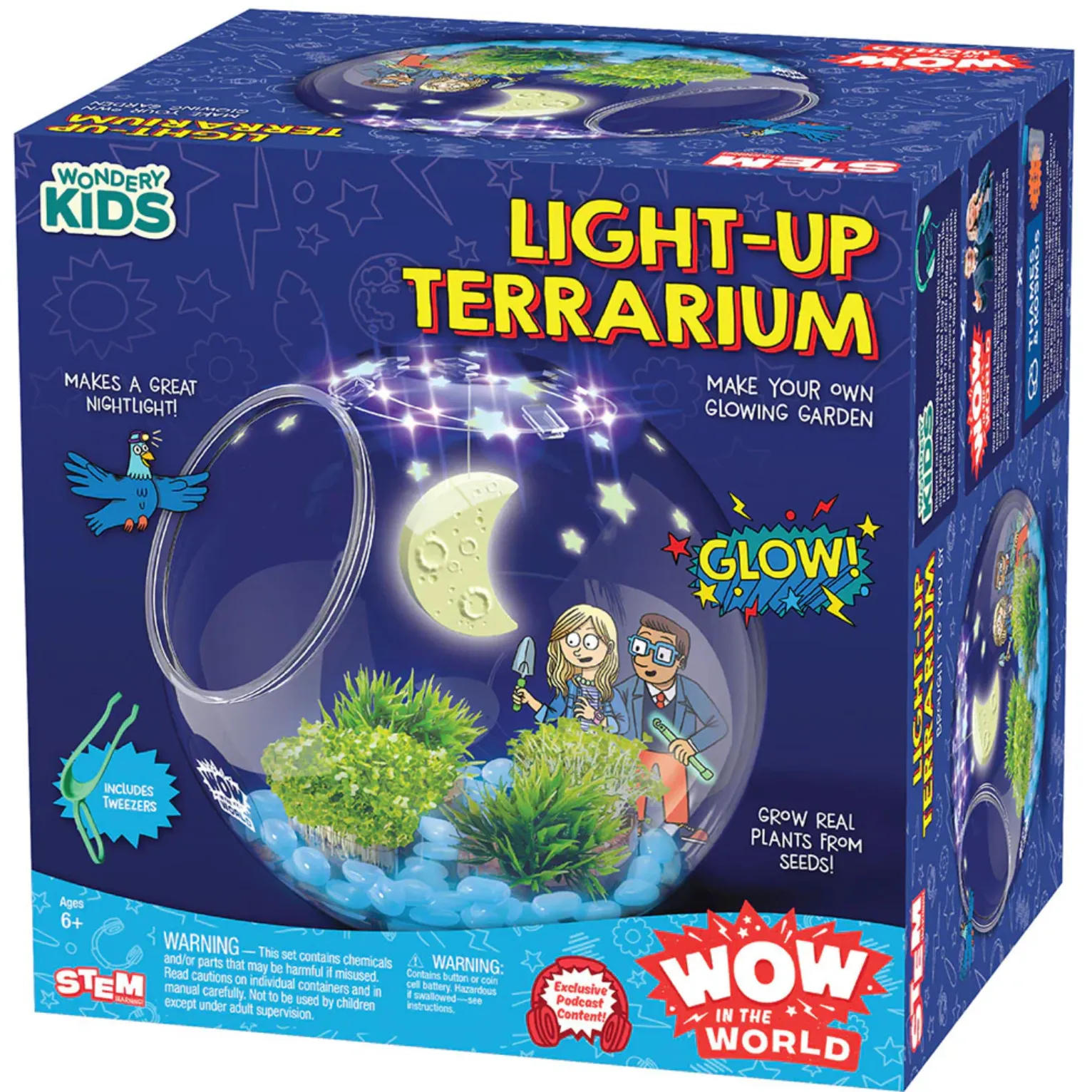 Light-Up Terrarium