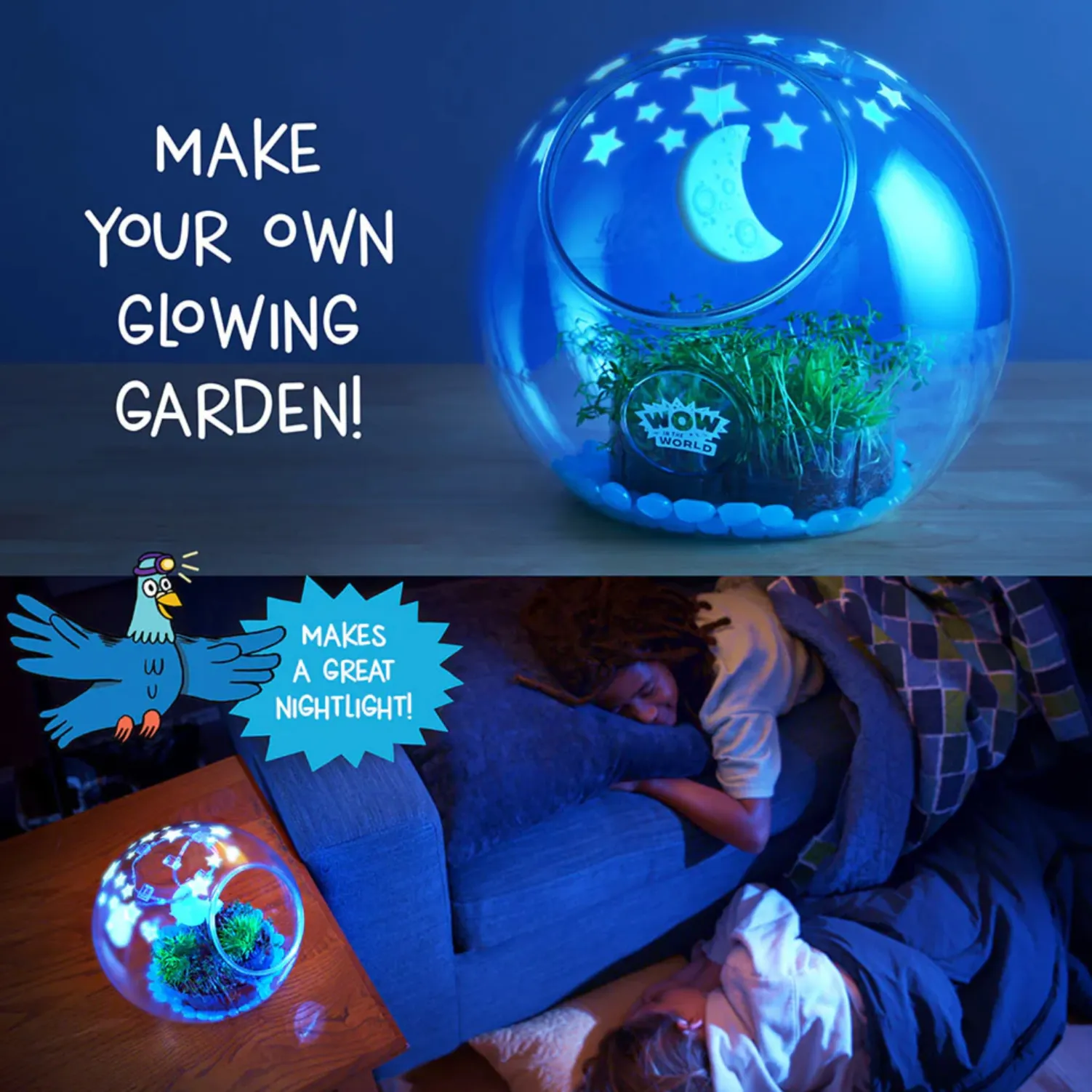 Light-Up Terrarium