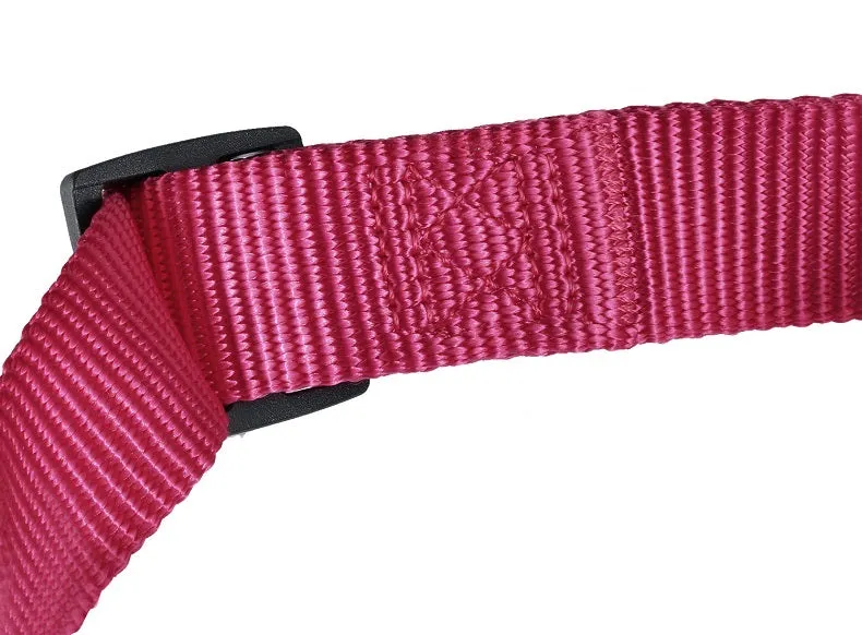 Martingale Collar