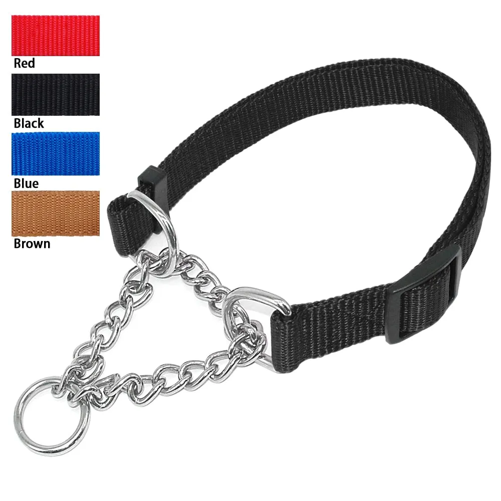 Martingale Training Collar w/ Chain