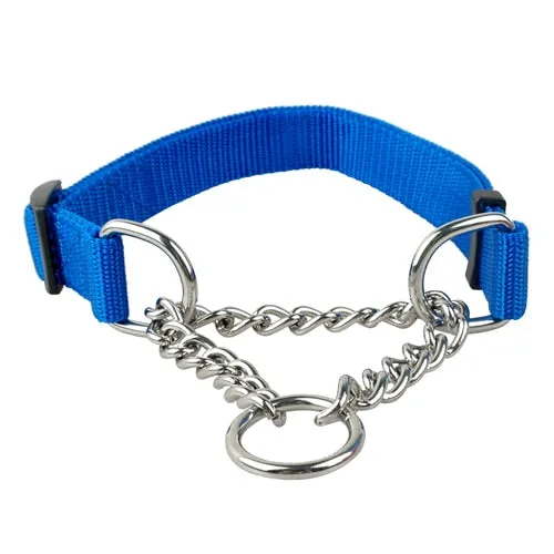 Martingale Training Collar w/ Chain