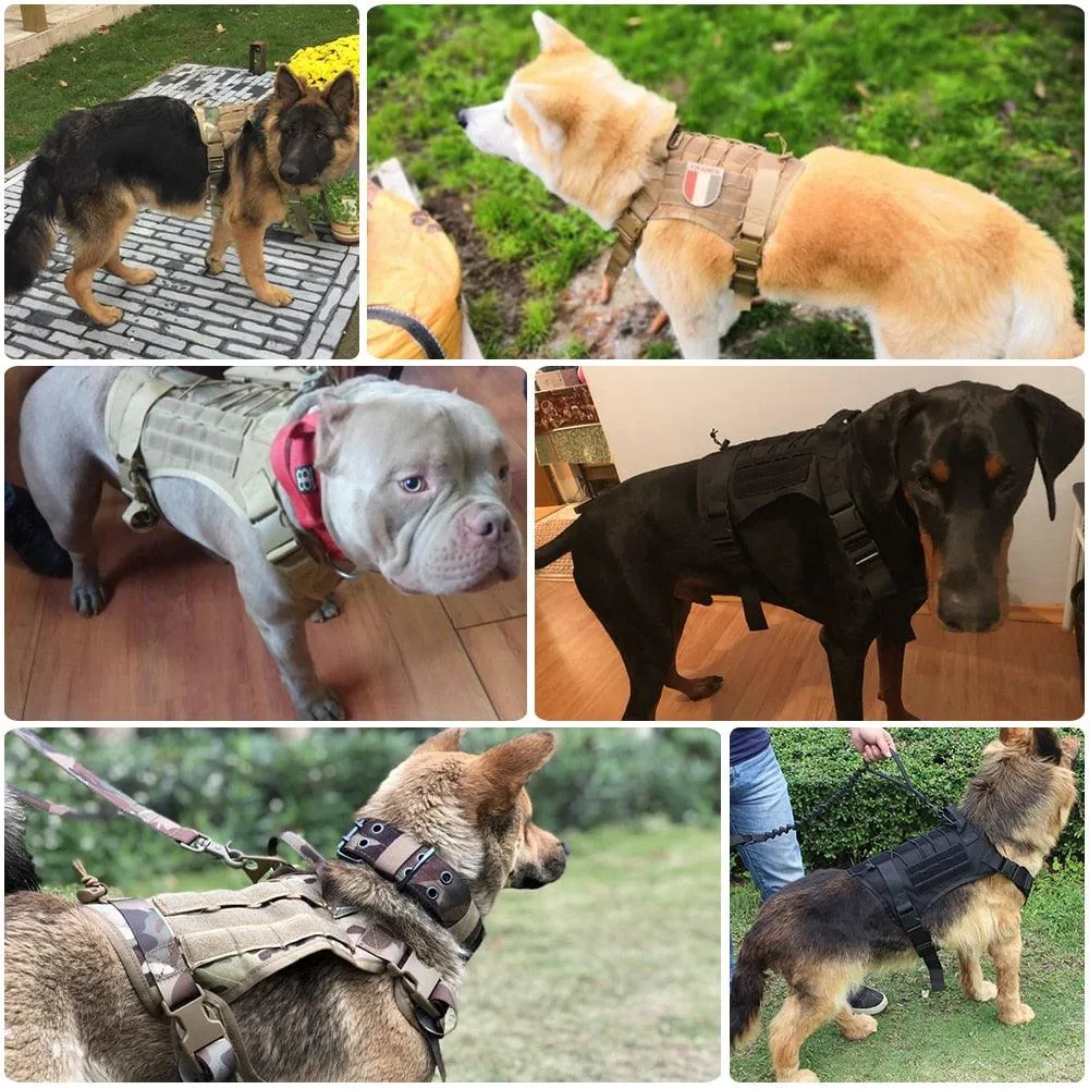 Military Tactical Dog Harness with Handle and Bungee Leash