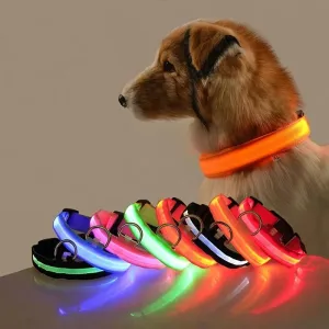 Nylon LED Dog Collar