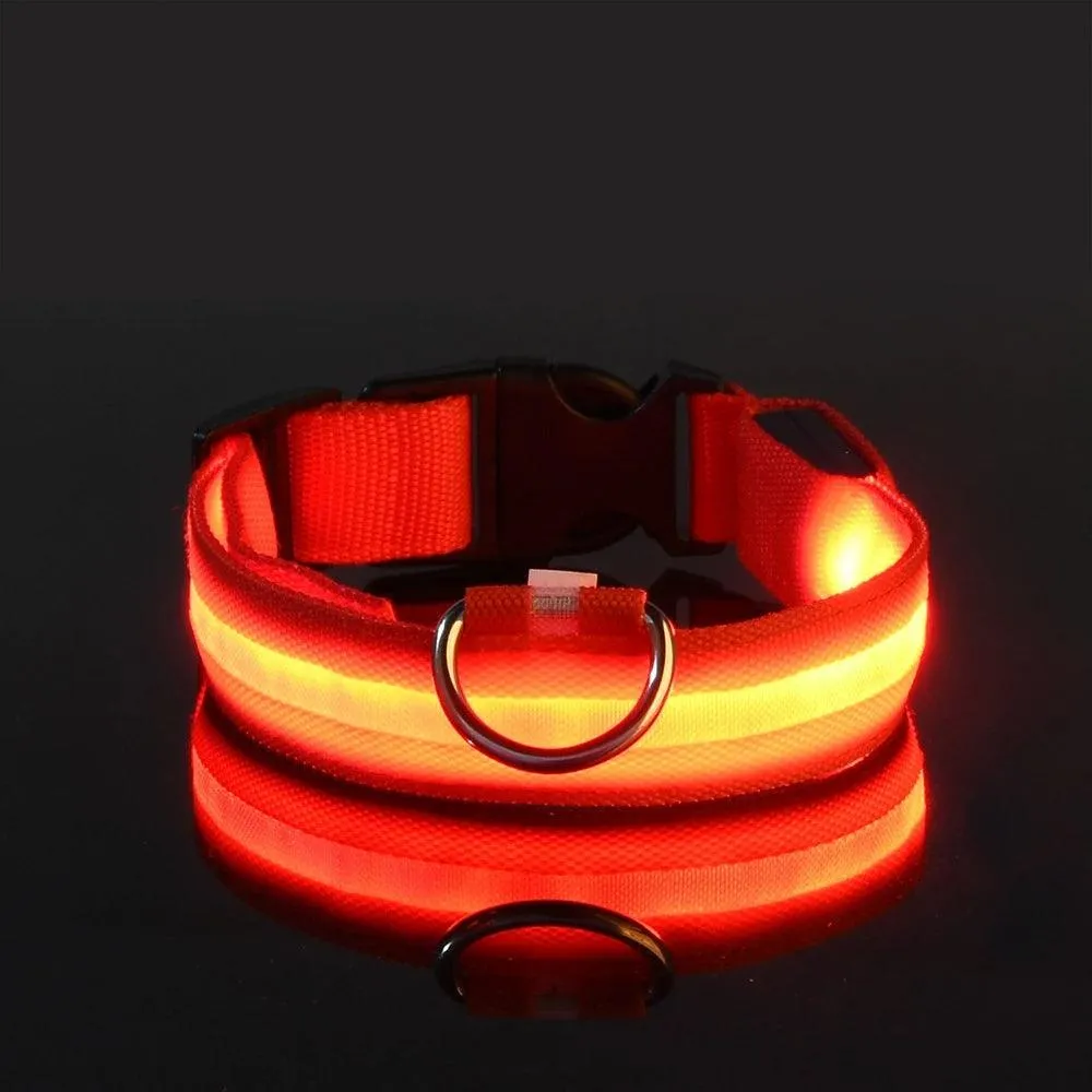 Nylon LED Dog Collar