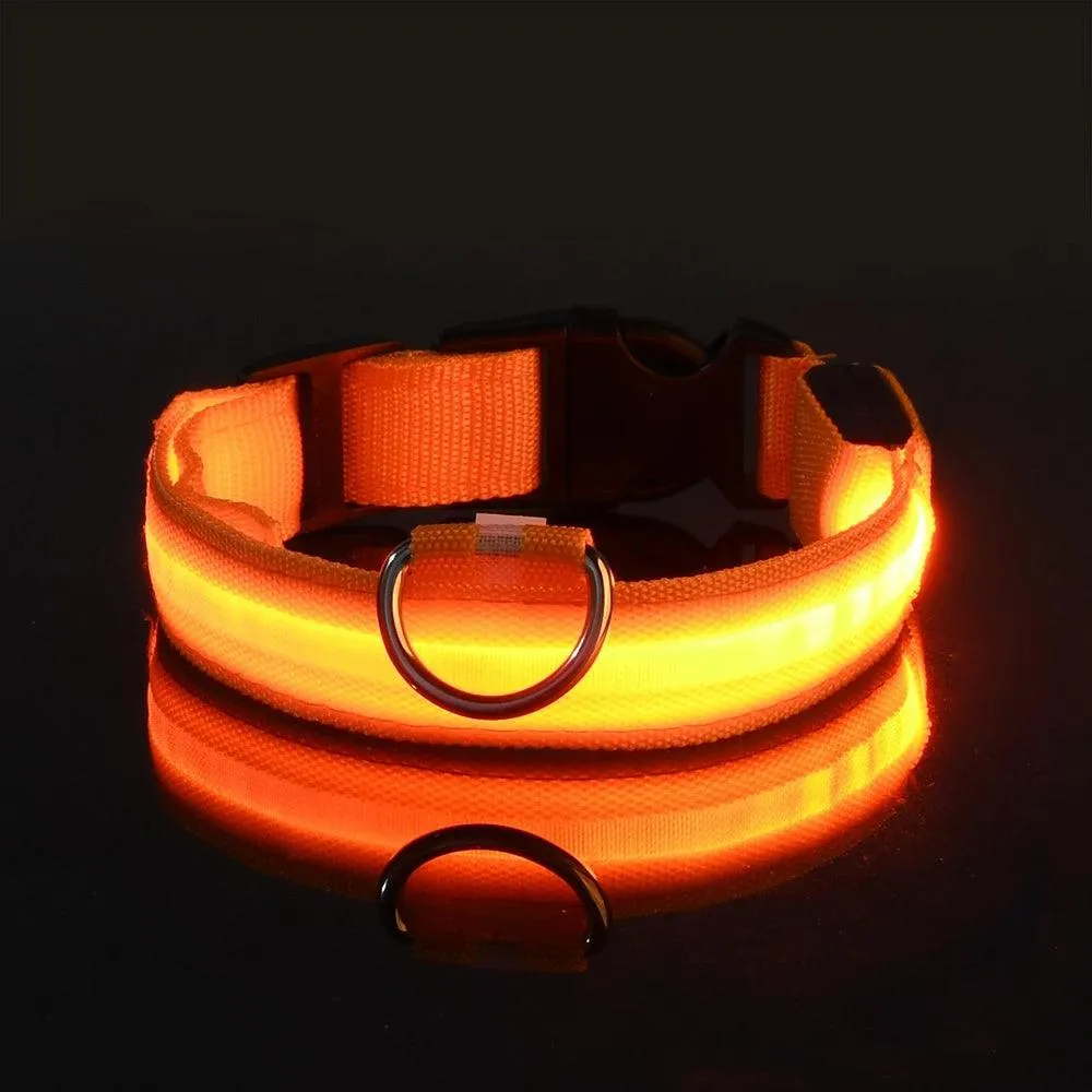 Nylon LED Dog Collar